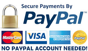 Paypal secure payment